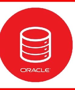Udemy - Oracle Database 11g: Program with PL/SQL 4 Practice Tests