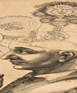 Udemy - Philosophy of Mind