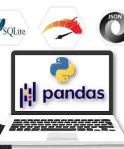 Udemy - Python Data Science with Pandas: Master 12 Advanced Projects - Updated 2021