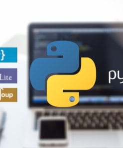 Udemy - Python Programming - From Basics to Advanced level [2021]
