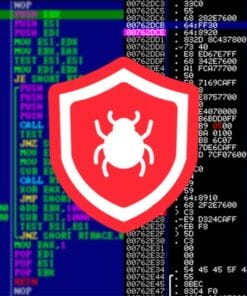 Udemy - Reverse Engineering, Debugging and Malware Analysis - 2021