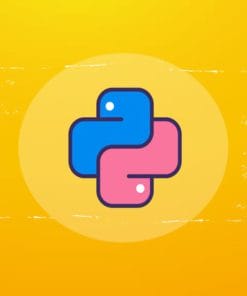 Udemy - Scientific Python: A-Z Data Science & Visualization 18 Hours