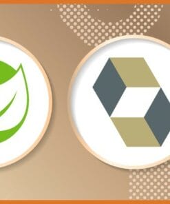 Udemy - Spring Framework: Spring Boot and Spring Hibernate