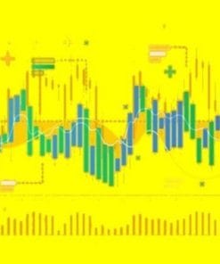 Udemy - Swing Trading Ninja: 12 Hour Complete Swing Trading Strategy