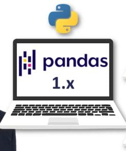 Udemy - The Complete Pandas Bootcamp 2021: Data Science with Python
