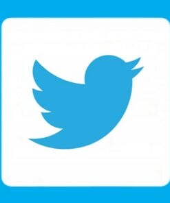 Udemy - The Complete Twitter Course 2017: Get 200k+ Fans in 6 Months