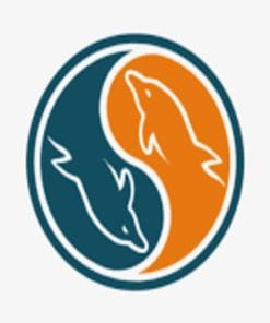 Udemy - The Ultimate MySQL Crash Course 2021