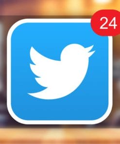 Udemy - Twitter For Business: Attract 200+ Lifelong Customers a Day!