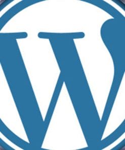 Udemy - Ultimate Wordpress Optimization 2020