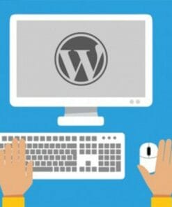 Udemy - Wordpress For Beginners