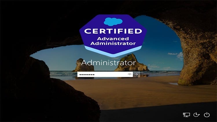 Udemy - salesforce administration essentials for experienced admins