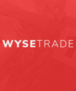 [VIP SHARE] WyseTrade Trading Masterclass Course