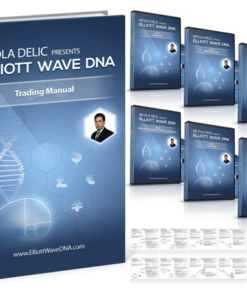 Elliott Wave DNA – Nicola Delic