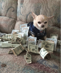 Colin Theriot – Quickie Group Launches