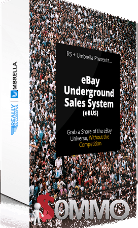 Roger & Barry – eBay Underground Sales (eBus)