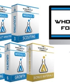 Dan Meadors – The Amazon Wholesale Formula 2019