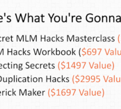 Stephen Larsen- Secret MLM Hacks