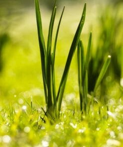 Udemy - Chinese Characters You Must Know for HSK 3 Volume 11