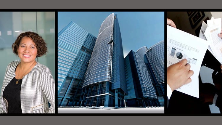 Udemy - Corporate Finance #1 Introduction & Financial Statements