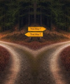 Udemy - Life Coaching Certification Diploma