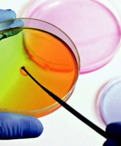 Udemy - Microbiología para no microbiólogos