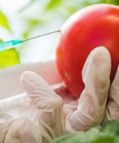 Udemy - Plan de Defensa Alimentaria