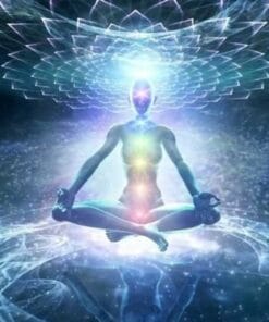 Udemy - The Complete Yoga, Mindfulness & Meditation Course