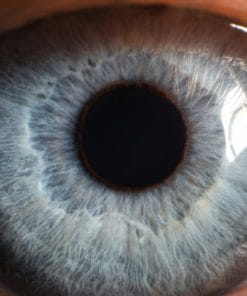 Udemy - The Ultimate Eye-Gazing Meditation Workshop