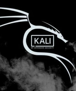 Udemy - Ultimate Ethical Hacking and Penetration Testing (UEH)