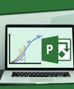 Udemy - Valor Ganado y MS Project en 12 sesiones