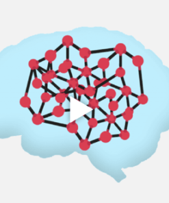 Conversion XL – Digital Psychology and Persuasion Minidegree