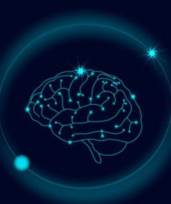 Udemy - CBT cognitive behavioral therapy certification diploma