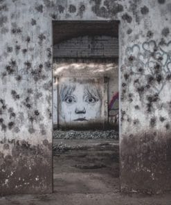 Udemy - DIY Mold Inspection