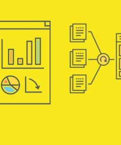 Udemy - Data Analysis & Visualization: Python | Excel | BI | Tableau