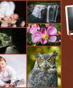 Udemy - Digital Photography Courses for Beginners - DSLR Photography