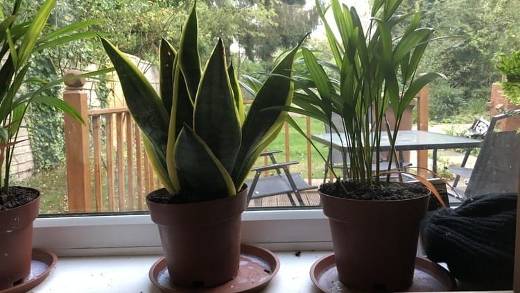 Udemy - Ethical capitalism