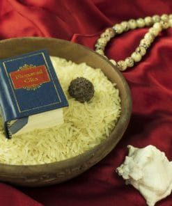 Udemy - Learn to read in Sanskrit with Grammar- Intermediate Course