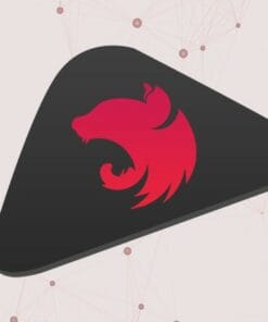 Udemy - NestJS Zero to Hero - Modern TypeScript Back-end Development