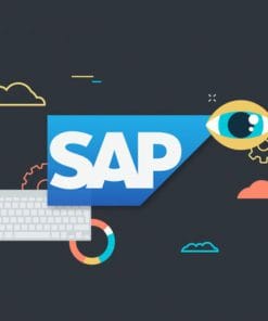 Udemy - SAP Business Analytics Essential Training