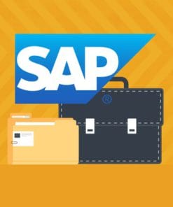 Udemy - The Complete SAP Analytics Cloud Course 2021
