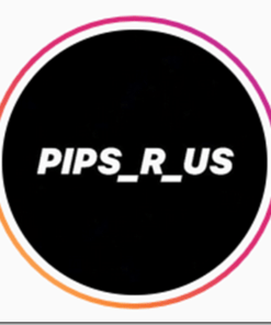 [VIP SHARE] Pips R Us Course
