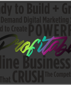 Julie Stoian – The Digital Gangsta