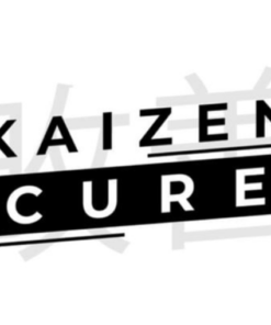 Iman Gadzhi – Kaizen Cure