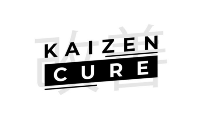 Iman Gadzhi – Kaizen Cure