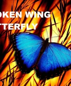 John Locke – Broken Wing Butterfly Master Track Series