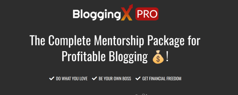 Akshay Hallur – BloggingX Pro System