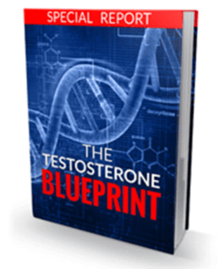 Bobby Rio – Testosteron Blueprint