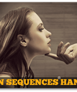 Derek Rake – Shogun Sequences Handbook