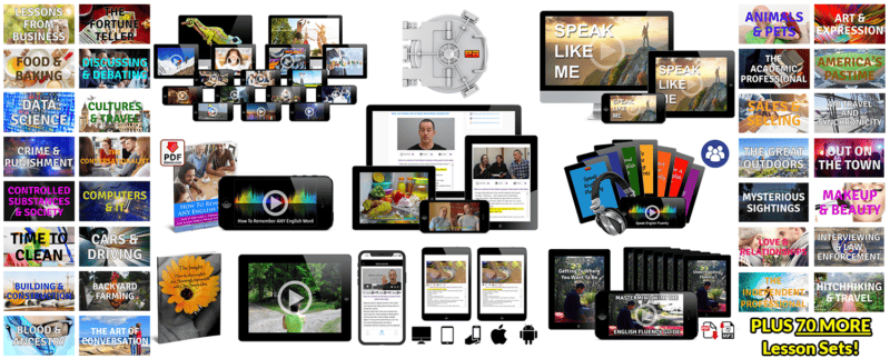 Download Fluent For Life The Vault with Lesson Sets