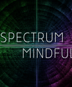Ken Wilber – Full Spectrum Mindfulness